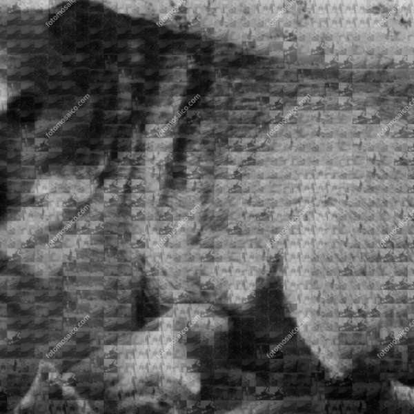 Fotomosaico 3d2f9a65-ac0d-4e69-95fa-1b1d795f1499 