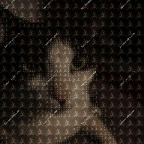 Fotomosaico 5ed415e8-e14a-4b30-9053-d697c0df3f95 